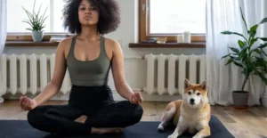 Things People Do That Secretly Stress Their Pets